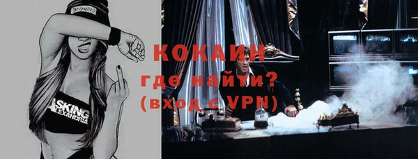 крисы Няндома