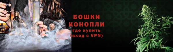 крисы Няндома