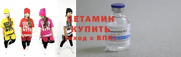 крисы Няндома