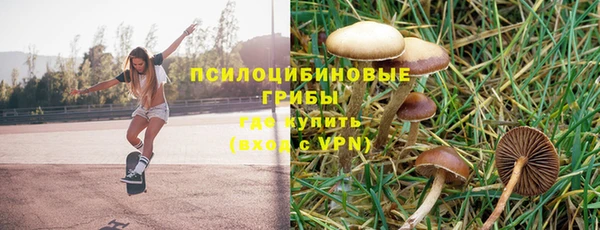 дмт Нягань