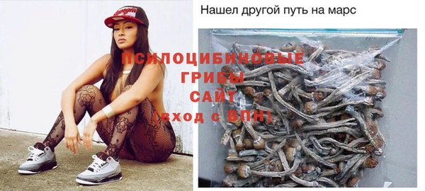 дмт Нягань