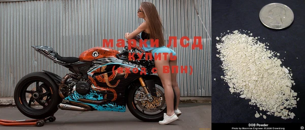 крисы Няндома