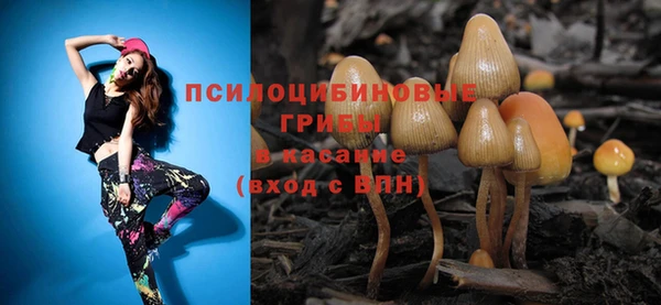 крисы Няндома