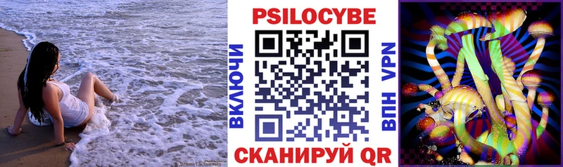 Псилоцибиновые грибы прущие грибы  Купить закладки  Чегем 